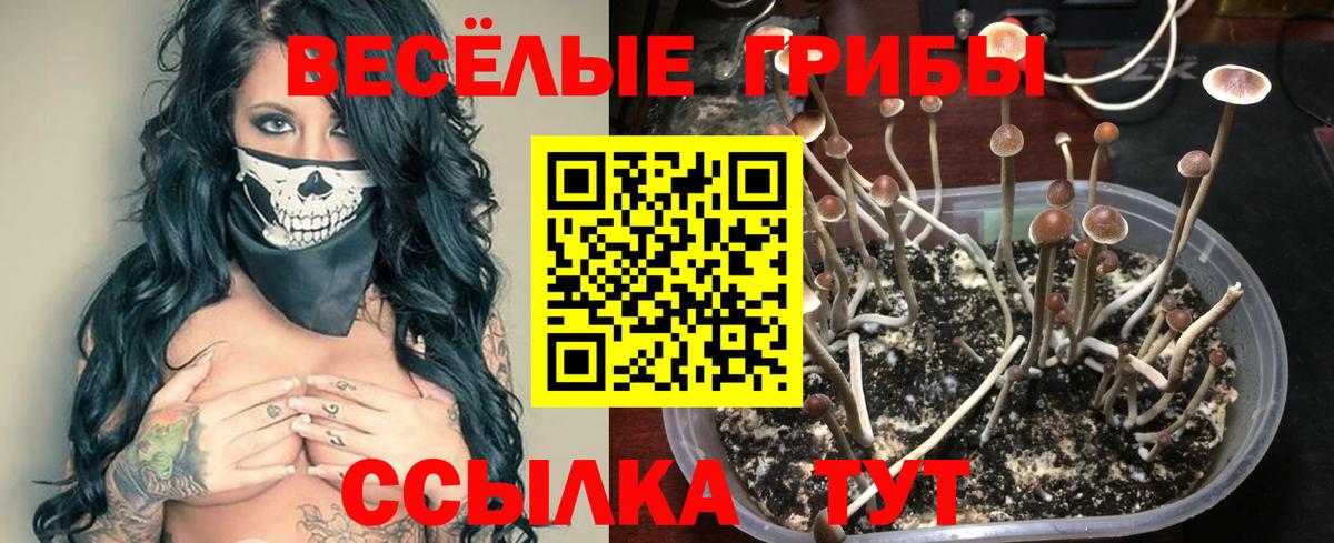 Галлюциногенные грибы GOLDEN TEACHER Холмск
